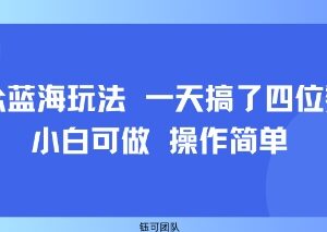 2025小白可做的小众蓝海副业 操作简单单日收益可达四位数-雨叶虚拟资源网