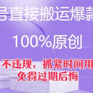 视频号无改动搬运爆款素材技巧 合规不违规不影响流量分发-雨叶虚拟资源网