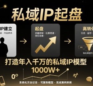 私域IP从建立起盘到高转化实操教程 可复制高变现运营模型-雨叶虚拟资源网