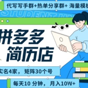 拼多多虚拟资料项目全SOP分享 矩阵多店低门槛副业实操攻略-雨叶虚拟资源网
