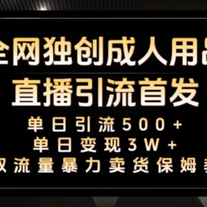 成人用品真人及无人直播卖货 0基础可上手的变现实操教程-雨叶虚拟资源网
