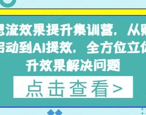 信息流投放效果提升课程 从冷启动到AI提效全链路实操讲解-雨叶虚拟资源网