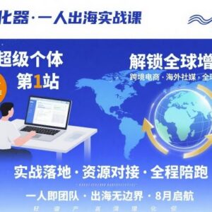 个人出海创业实战课程 超级个体从0到1解锁全球业务增长-雨叶虚拟资源网