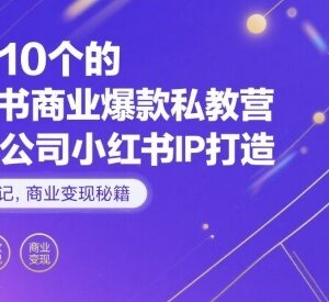 小红书一人公司IP打造实操 爆款笔记运营及商业变现全教程-雨叶虚拟资源网