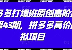 拼多多打爆班第43期 高价虚拟项目全流程运营实操教程-雨叶虚拟资源网