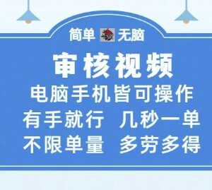 无人售货机视频审核副业全攻略 低门槛易操作多劳多得-雨叶虚拟资源网