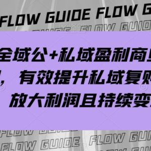 全域公私域盈利商业大课 掌握变现方法提升私域复购放大经营利润-雨叶虚拟资源网