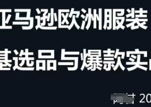 2024-2025跨境电商选品案例汇总 含运营优化及蓝海市场挖掘方法-雨叶虚拟资源网