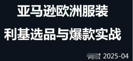 2024-2025跨境电商选品案例汇总 含运营优化及蓝海市场挖掘方法