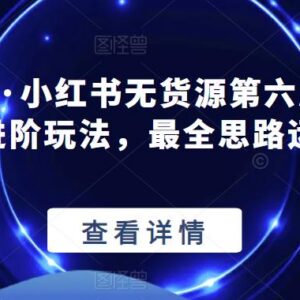 绅白不白·小红书无货源第六版 精细化进阶运营玩法全解析-雨叶虚拟资源网