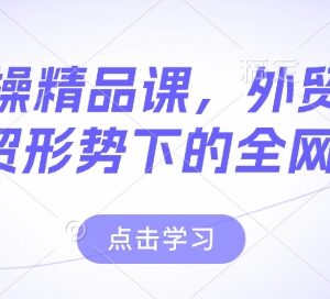2025新外贸形势实操精品课 含谈判获客全网营销全体系内容-雨叶虚拟资源网
