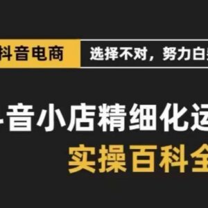 抖音小店精细化运营保姆级实操 解决选品流量盈利等常见难题-雨叶虚拟资源网