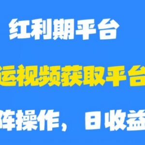 搬运视频获取平台收益，平台红利期，附保姆级教程【揭秘】-雨叶虚拟资源网