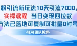 男粉引流新玩法详解 10天获客7000人可批量操作零封号当日变现-雨叶虚拟资源网