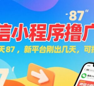 新上线微信小程序看广告赚收益方法 可批量操作单机日入87元-雨叶虚拟资源网