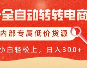 AI全自动转转二手电商项目教程 含自动铺货与低价货源变现方法-雨叶虚拟资源网