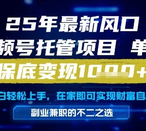2025年视频号托管代运营项目 新手零操作日入过千玩法详解-雨叶虚拟资源网