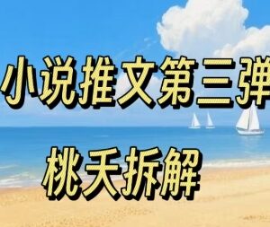 小说推文项目操作全流程第三弹 0粉低门槛新手可轻松入局-雨叶虚拟资源网