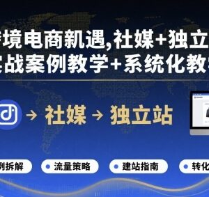 跨境电商社媒+独立站运营全流程教程 含实战案例与系统化教学-雨叶虚拟资源网