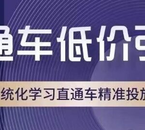 直通车低价引流系统化课程 精准投放全流程实操技巧详解-雨叶虚拟资源网