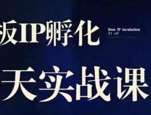 2023诸葛老板IP实战课 实体同城引流获客及IP孵化实操教程-雨叶虚拟资源网