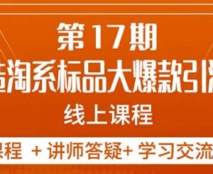 南掌柜第17期淘系标品大爆款打造 5天线上实操运营课程-雨叶虚拟资源网
