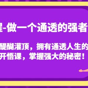 通透人生觉醒开悟课 掌握人性规律练就强者思维的实用方法-雨叶虚拟资源网