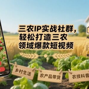 三农IP运营实战课程 教你快速打造三农领域爆款短视频-雨叶虚拟资源网