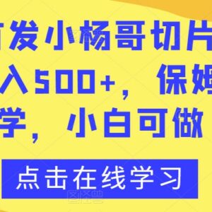 小杨哥切片IP3.0保姆级教程 零基础小白可上手实操日入500+-雨叶虚拟资源网
