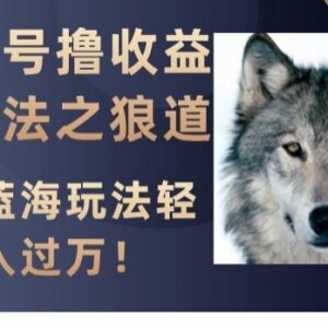 视频号狼道内容蓝海玩法 创作者收益开通及变现方法详解-雨叶虚拟资源网