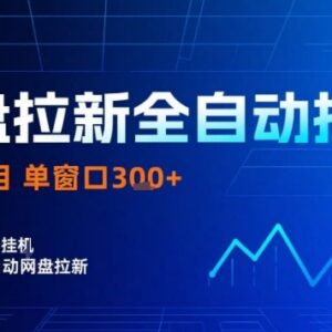 网盘全自动拉新掘金项目详解 操作简单单窗口日入300+可矩阵运营-雨叶虚拟资源网