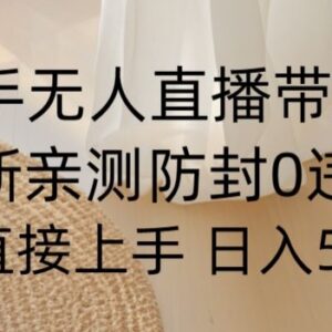 快手无人直播带货0到1落地教学 0粉防封小白可上手实操方法-雨叶虚拟资源网