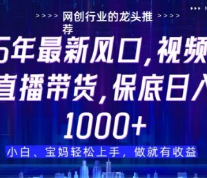 视频号直播带货代运营项目详解 仅需提供账号无需操作即可赚佣金-雨叶虚拟资源网