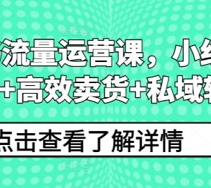 小红书流量运营系统课程 覆盖流量获取卖货私域转化全流程-雨叶虚拟资源网