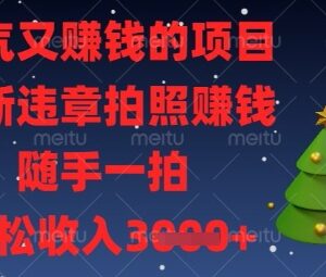 2024违章拍照赚钱项目介绍 随手拍违章即可轻松赚取额外收益-雨叶虚拟资源网