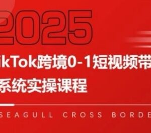 TikTok跨境0-1短视频带货全链路拆解 教你实现跨境可持续盈利-雨叶虚拟资源网