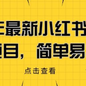 2023小红书成人电商项目实操教程 零基础操作全流程详解-雨叶虚拟资源网