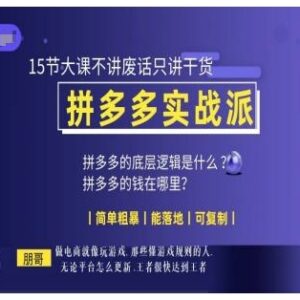 朋哥拼多多电商实战15节干货课 可落地复制的店铺运营实操教程-雨叶虚拟资源网