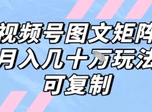 视频号图文矩阵带货可复制打法 新手低门槛实操变现指南-雨叶虚拟资源网