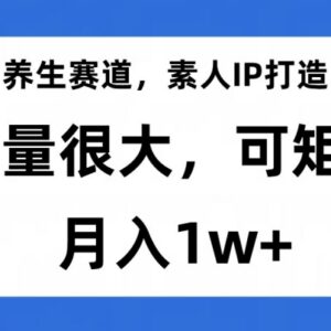 养生赛道素人IP打造实操指南 低门槛可矩阵运营月入过万-雨叶虚拟资源网