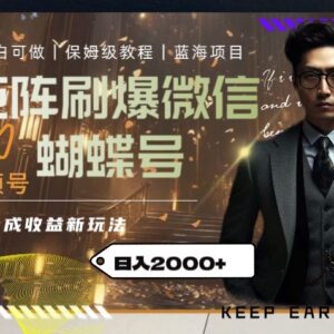 微信视频号创作者分成计划矩阵玩法 低门槛日入2000实操攻略-雨叶虚拟资源网