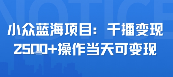 视频号图文小众蓝海项目 新手操作当日可变现单场收益超2500