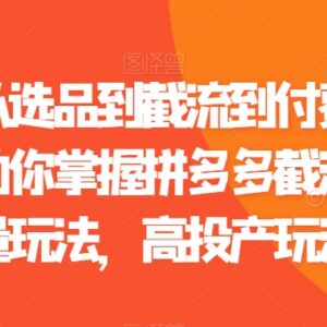 拼多多选品截流付费运营技巧汇总 自然流量高投产玩法教程-雨叶虚拟资源网
