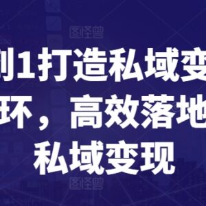 从0到1打造私域变现商业闭环 全流程实操落地指南-雨叶虚拟资源网