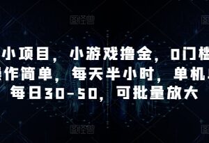0门槛微信小游戏撸金项目 每天半小时单机单号日入30-50可批量放大-雨叶虚拟资源网