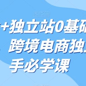 TikTok+独立站0基础从入门到精通 跨境电商新手系统实操课-雨叶虚拟资源网