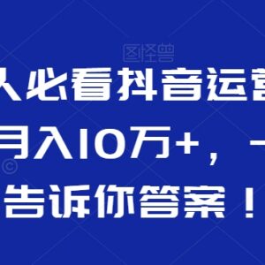合伙人必看抖音运营教程 掌握涨粉变现核心方法提升账号收益-雨叶虚拟资源网