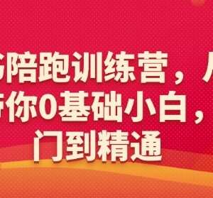 0基础小红书陪跑训练营 6大维度教学带你从入门到精通-雨叶虚拟资源网