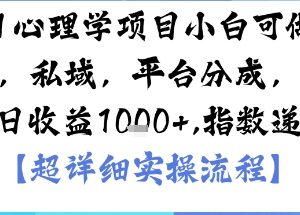 AI+心理学低门槛实操副业 多变现渠道小白可快速上手-雨叶虚拟资源网