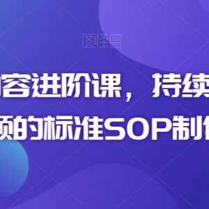 短视频内容进阶课程 优质短视频制作标准SOP全流程详解-雨叶虚拟资源网